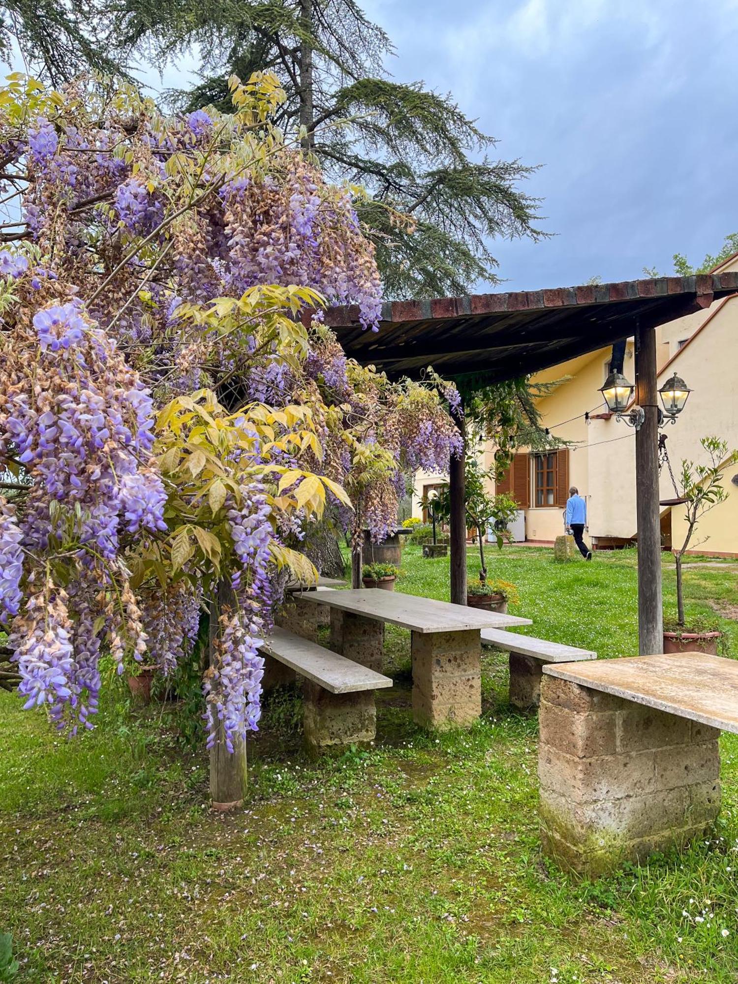 Tuscany Time Montefoscoli Esterno foto